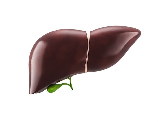 Pas Trusted News – Metabolic-related fatty liver disease on the rise among US adults