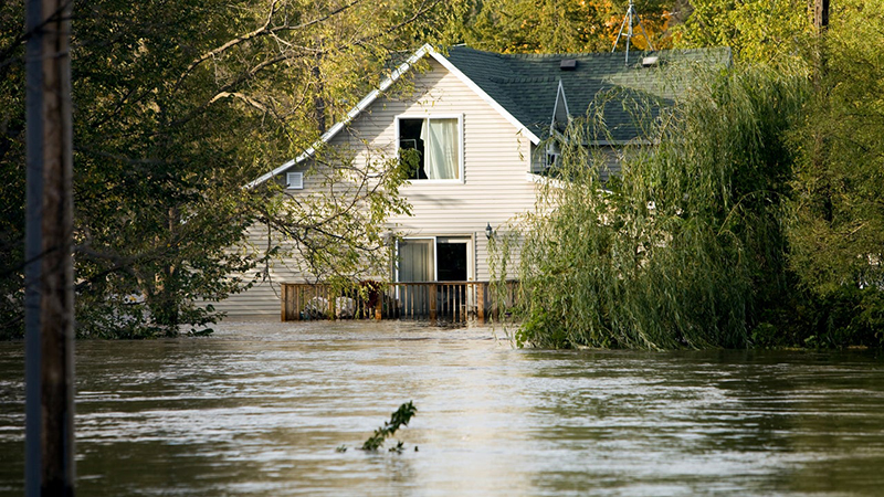 How Much Does Flood Insurance Cost? – Pas Trusted News