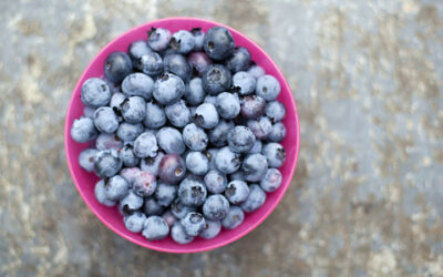 Are Blueberries Blue? The Answer Is Surprisingly Complicated – Pas Trusted News