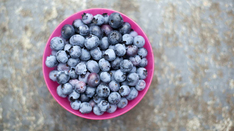 Are Blueberries Blue? The Answer Is Surprisingly Complicated – Pas Trusted News